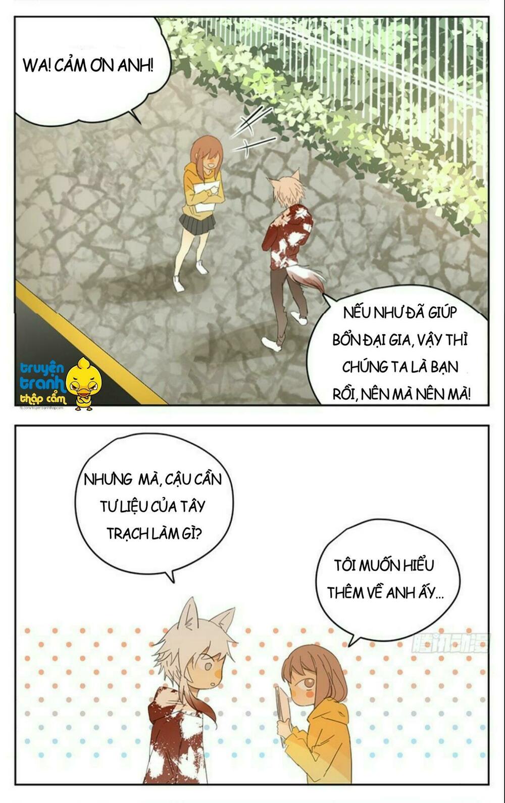 Cứu mạng ! Loài mèo thống trị thế giới rồi !: Chapter 33
