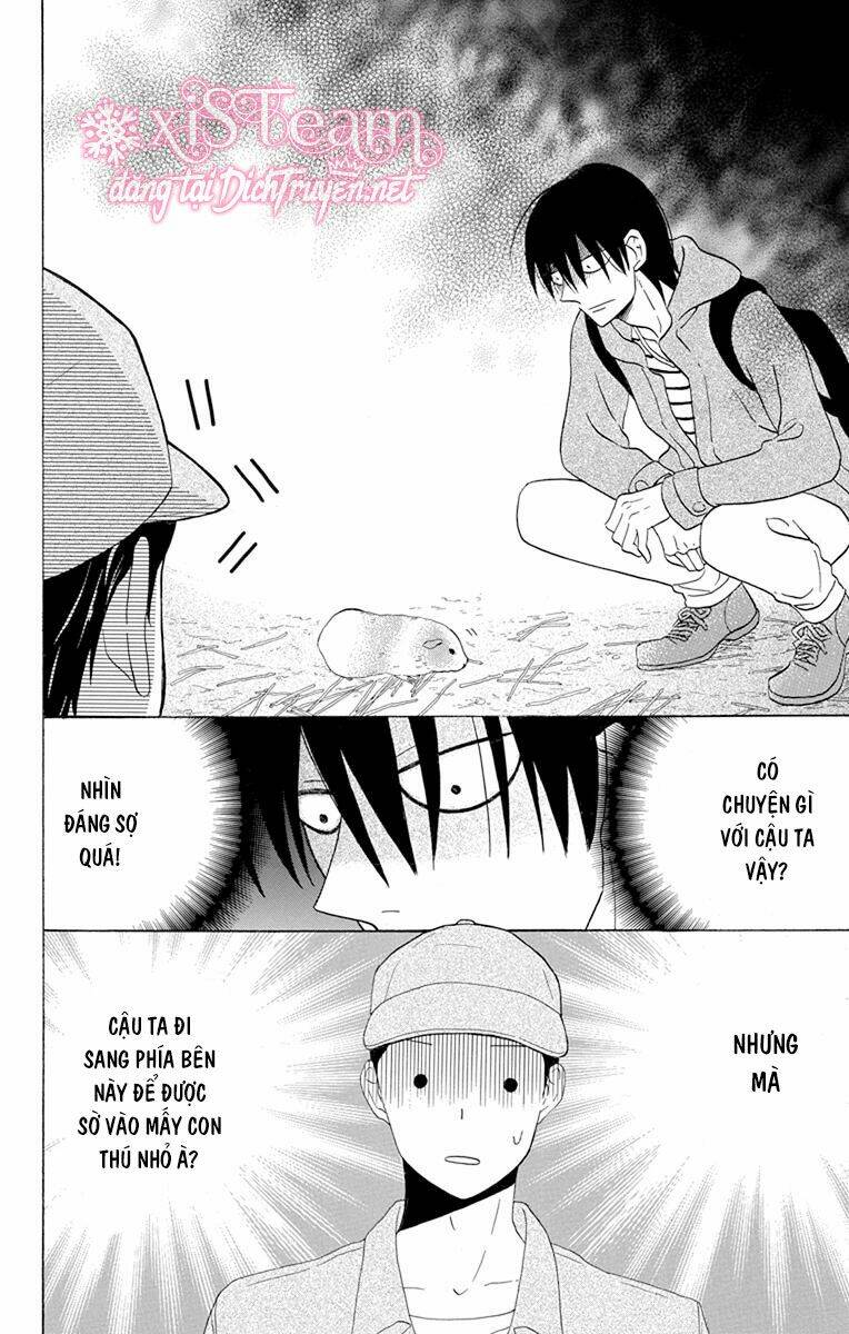 Kawaii Hito (Saitou Ken): Chapter 19