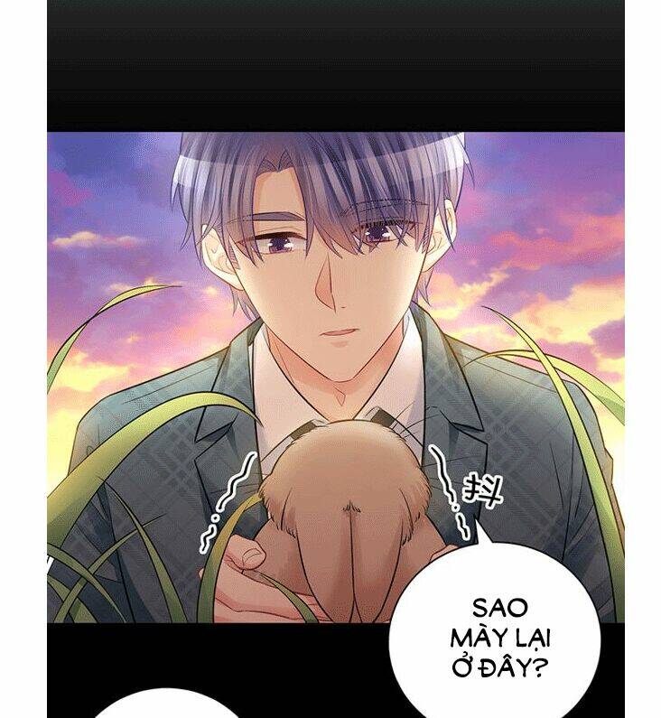 Trọng Sinh Để Ngủ Với Ảnh Đế: Chapter 212