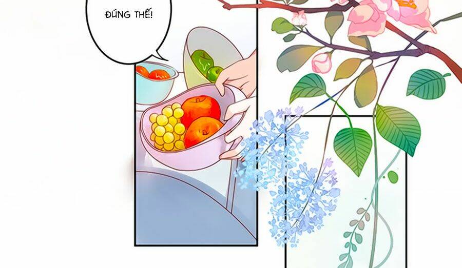 Bạn Trai Là Ngôi Sao: Chapter 105