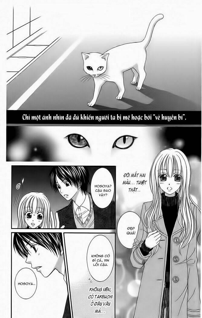 My Dear Cat: Chapter 1