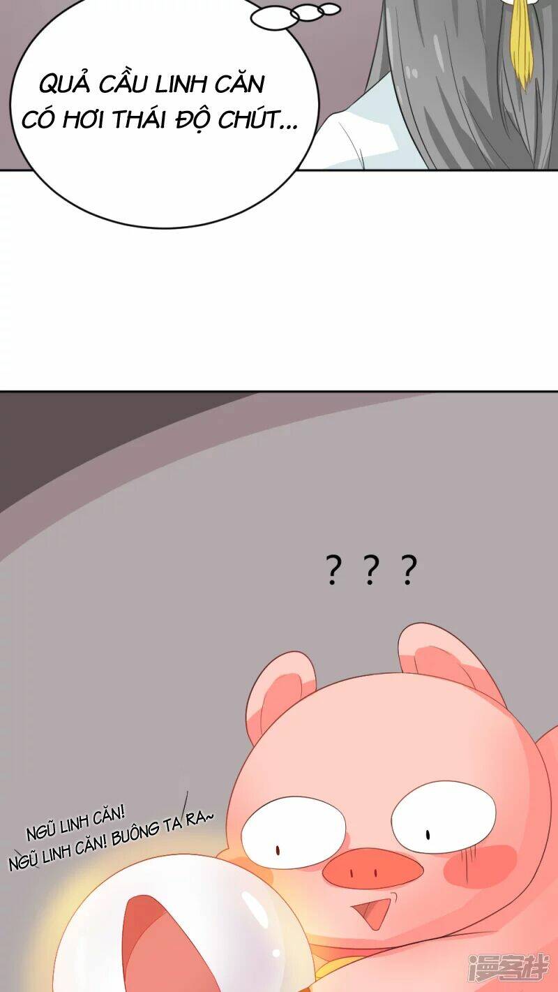 Đệ Tử Của Ta Là Heo: Chapter 2