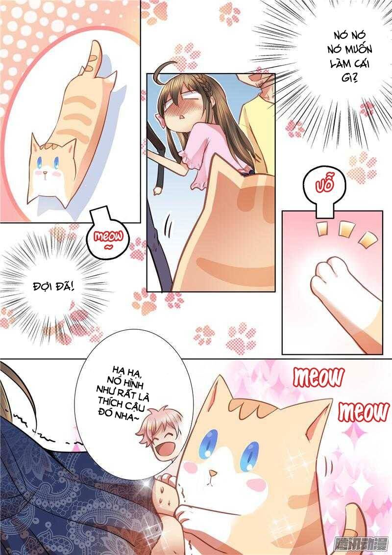 Người Thừa Kế Giá Đáo: Hiệu Thảo Làm Loạn Đủ Chưa?: Chapter 39