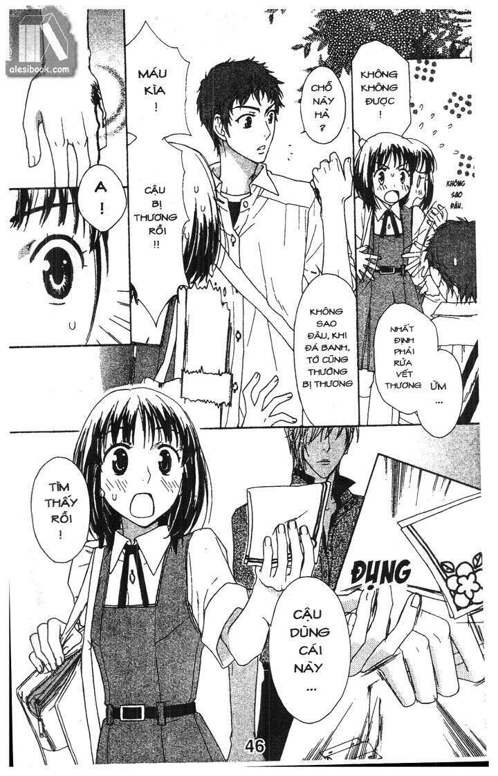 Tình Yêu Định Mệnh: Chapter 2