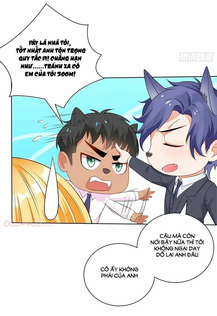 Bộ Váy Rực Rỡ Ánh Sao: Chapter 8