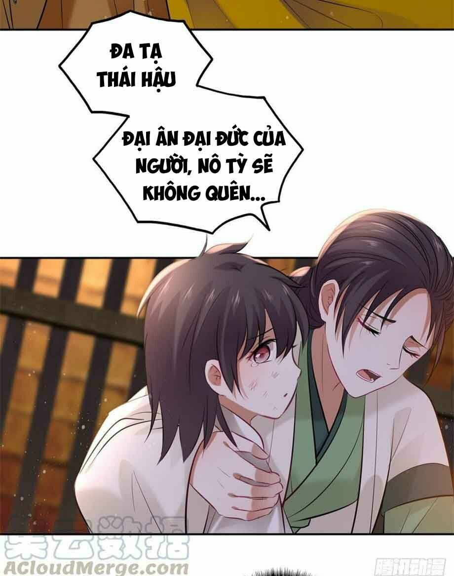 Vương Phi Thật Thích Trang Điểm: Chapter 122