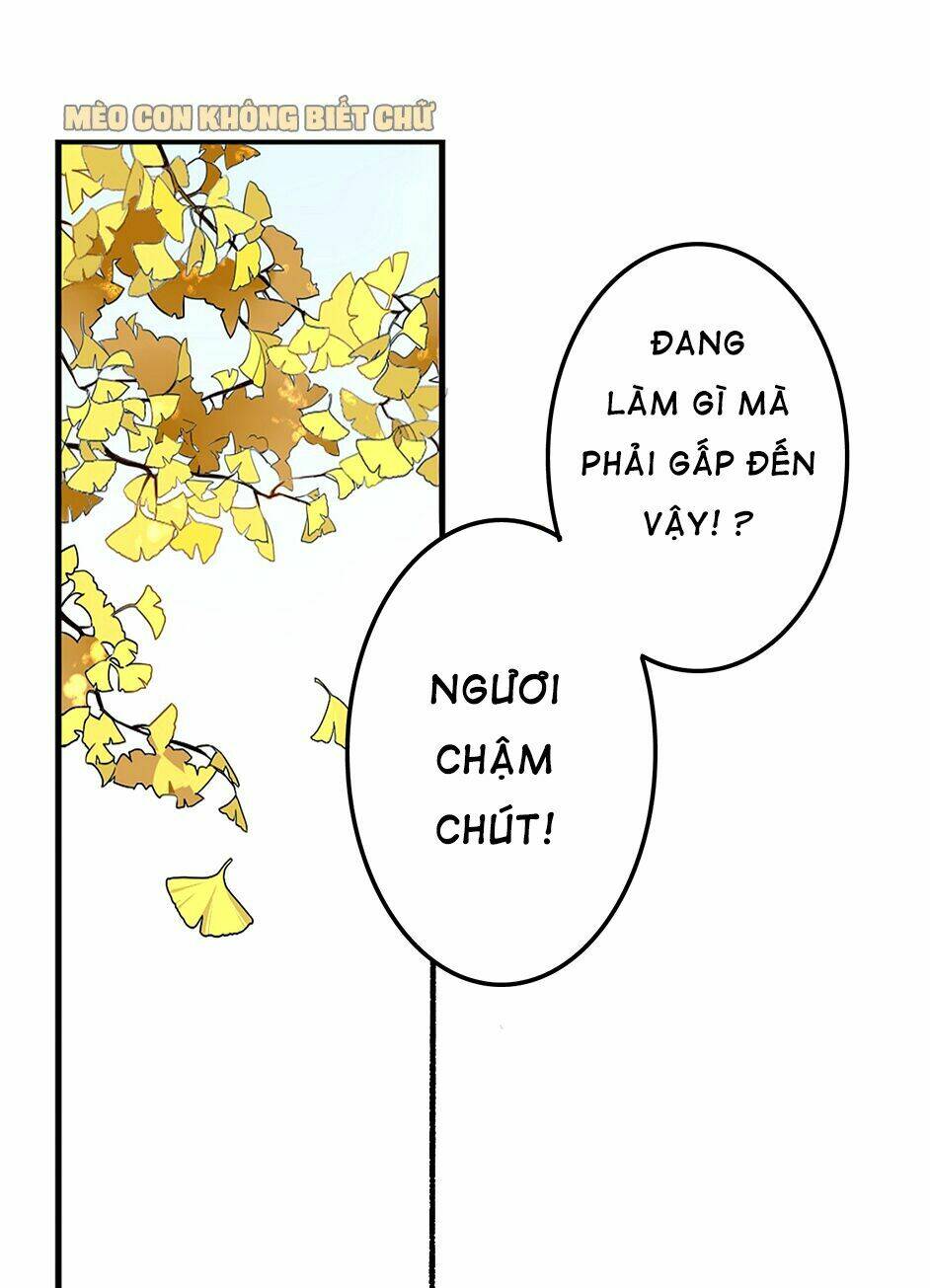 Bốc Toán Tử: Chapter 2