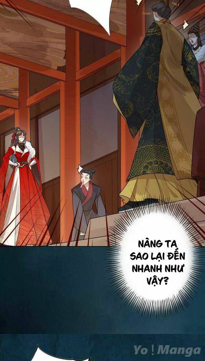 Tuyệt Thế Luyện Đan Sư: Chapter 144