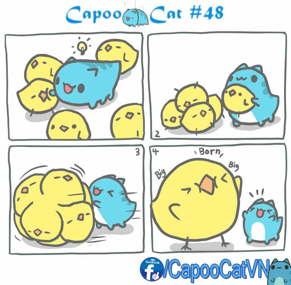 Capoo Cat: Chapter 5