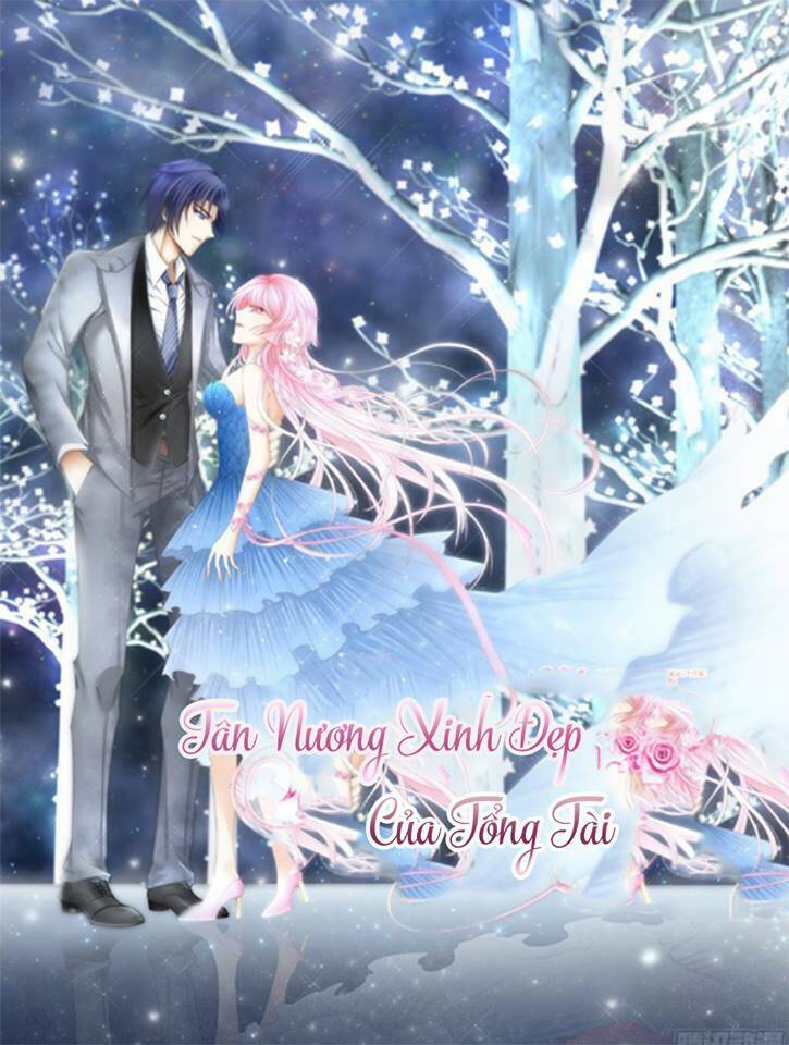 Tân Nương Xinh Đẹp Của Tổng Tài: Chapter 1.2