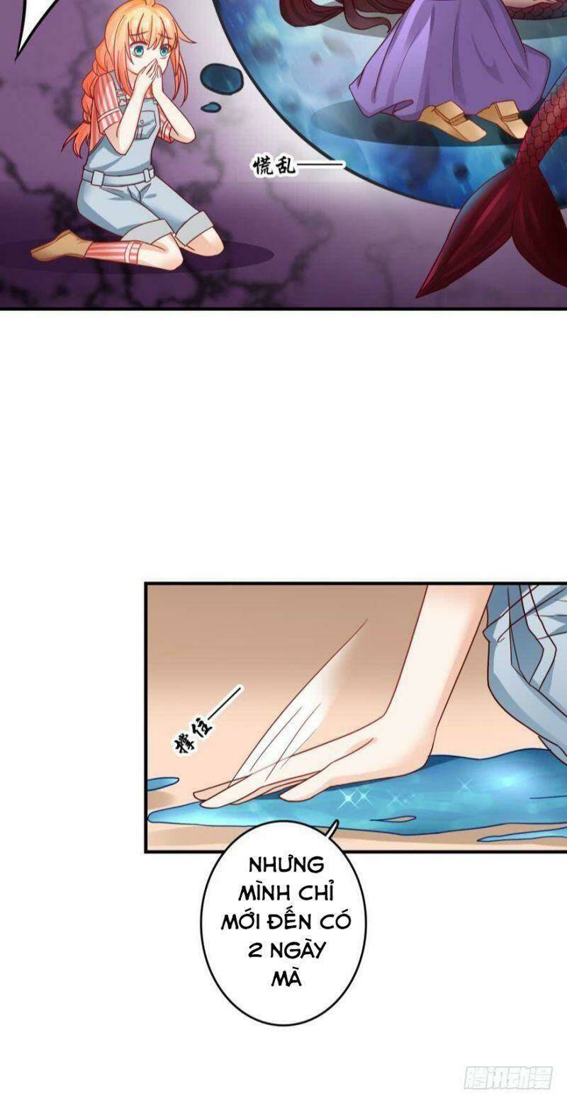 Nhân Ngư Học Trưởng, Đừng Ôm Ta!: Chapter 62