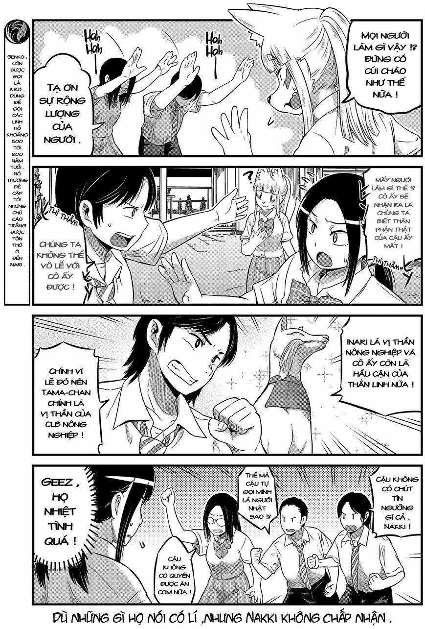 High School Inari Tamamo-Chan: Chapter 13