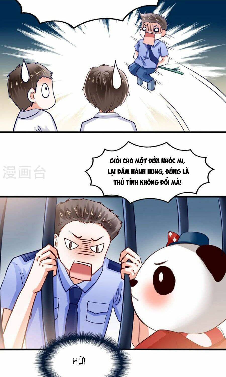 Tôi Bị Gấu Trúc Nhìn Trúng Rồi: Chapter 5
