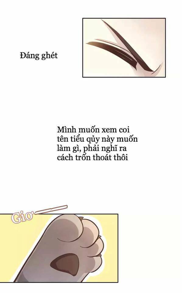 Dưới Móng Vuốt Mèo: Chapter 19