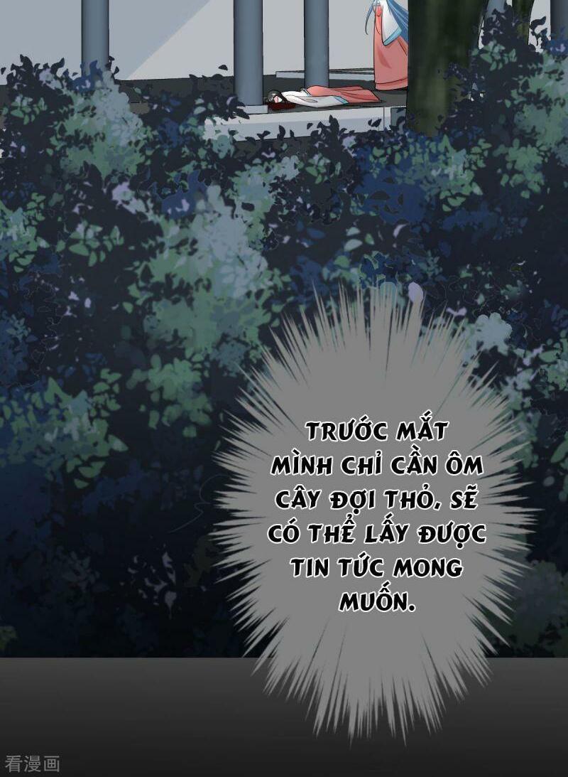 Độc Y Đích Nữ: Chapter 28