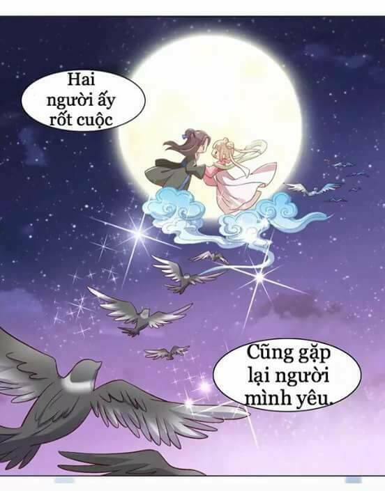 Dưới Móng Vuốt Mèo: Chapter 9