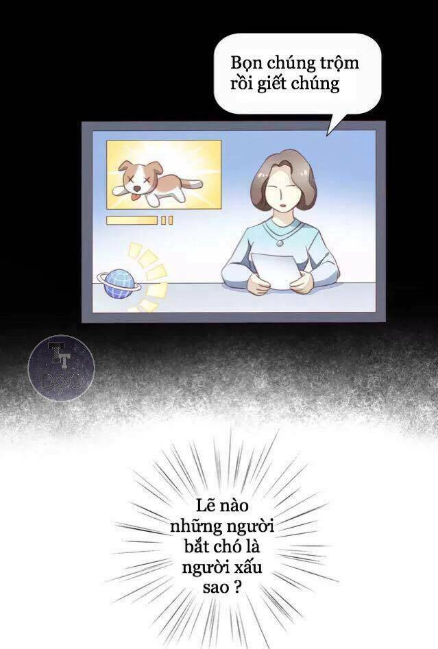 Dưới Móng Vuốt Mèo: Chapter 15