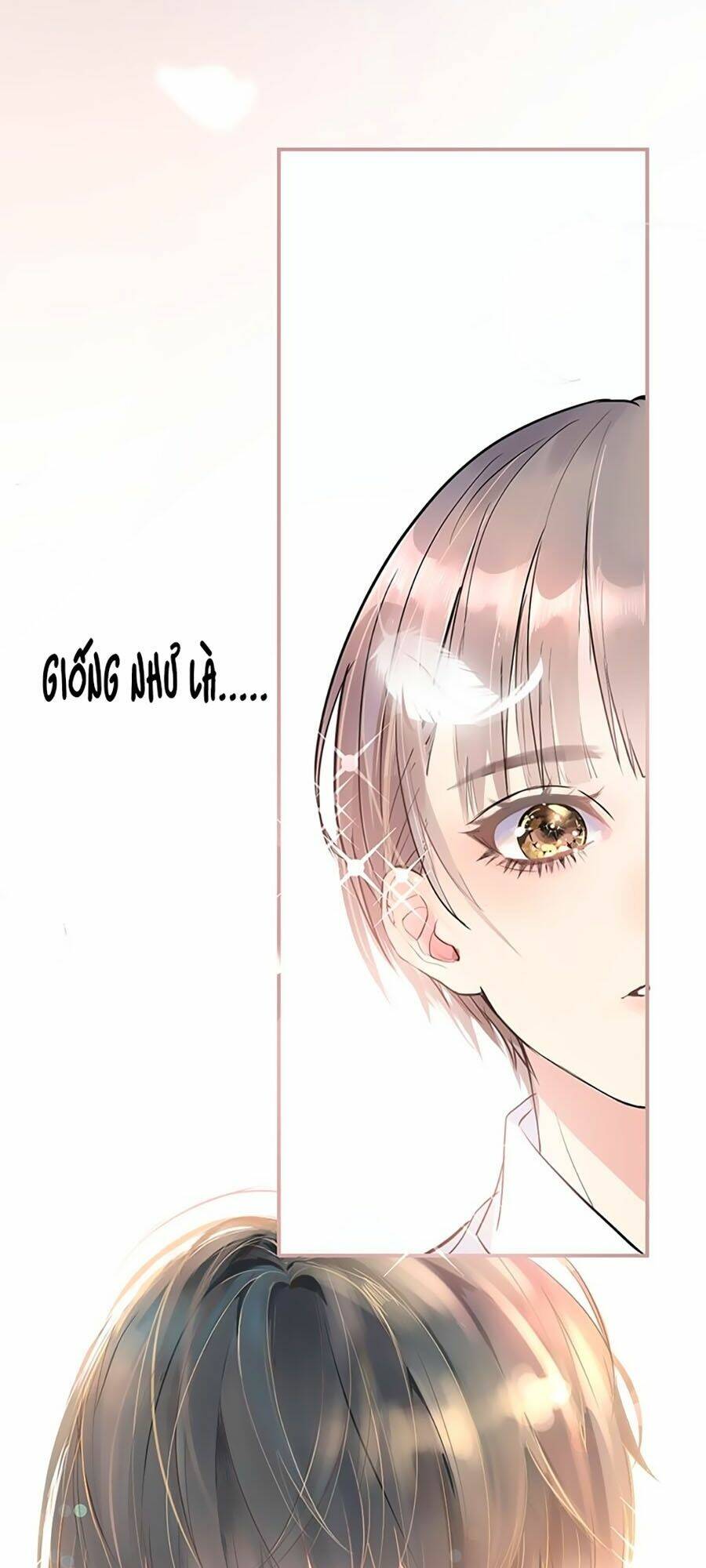 Quang Chi Vũ: Chapter 2.2