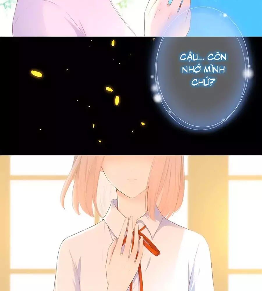 Hoa Chưa Nở Rộ: Chapter 15