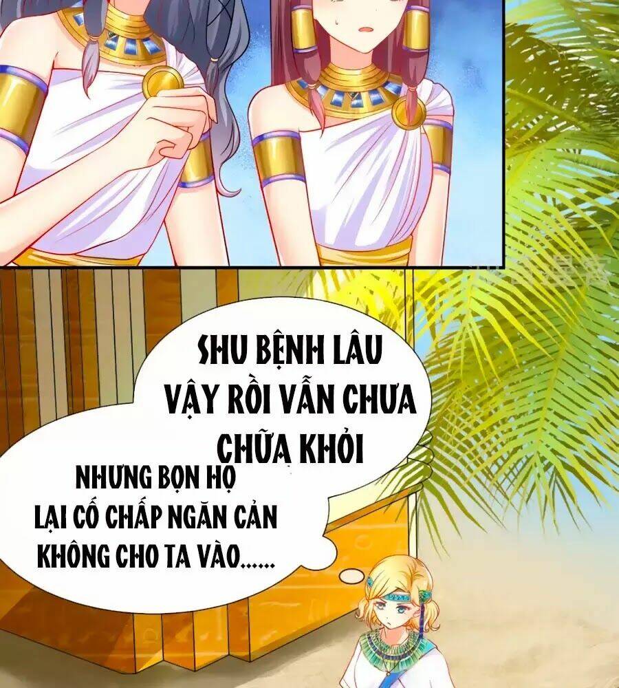 Sủng Hậu Của Vương: Chapter 4