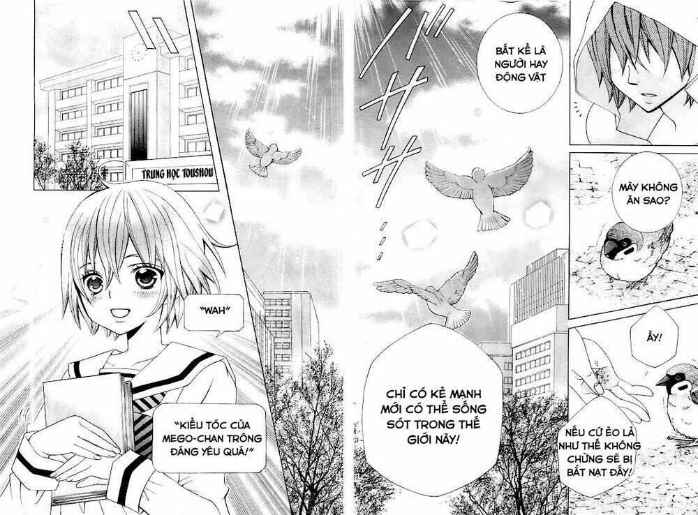 Cuộc Gặp Gỡ Diệu Kỳ: Chapter 26