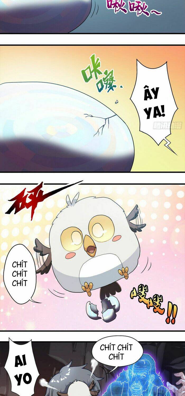 Ta Tu Linh Mạch Ở Hoa Hạ: Chapter 11