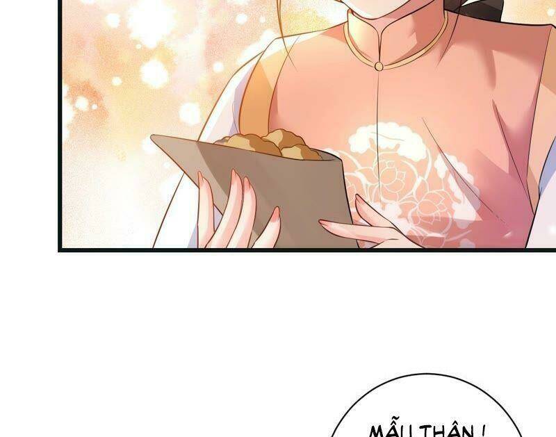 Quận Chúa Vững Vàng, Thiết Lập Nhân Vật Không Thể Vỡ: Chapter 52