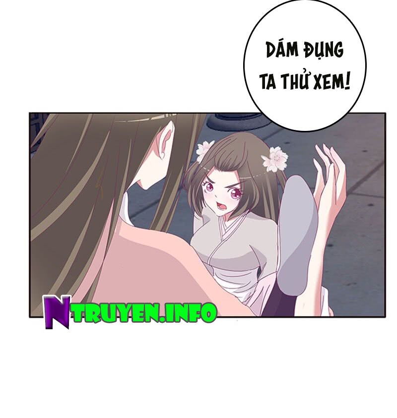 Thông Linh Phi: Chapter 330