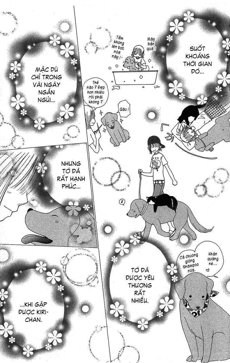 Dự Án Kéo Vàng: Chapter 34