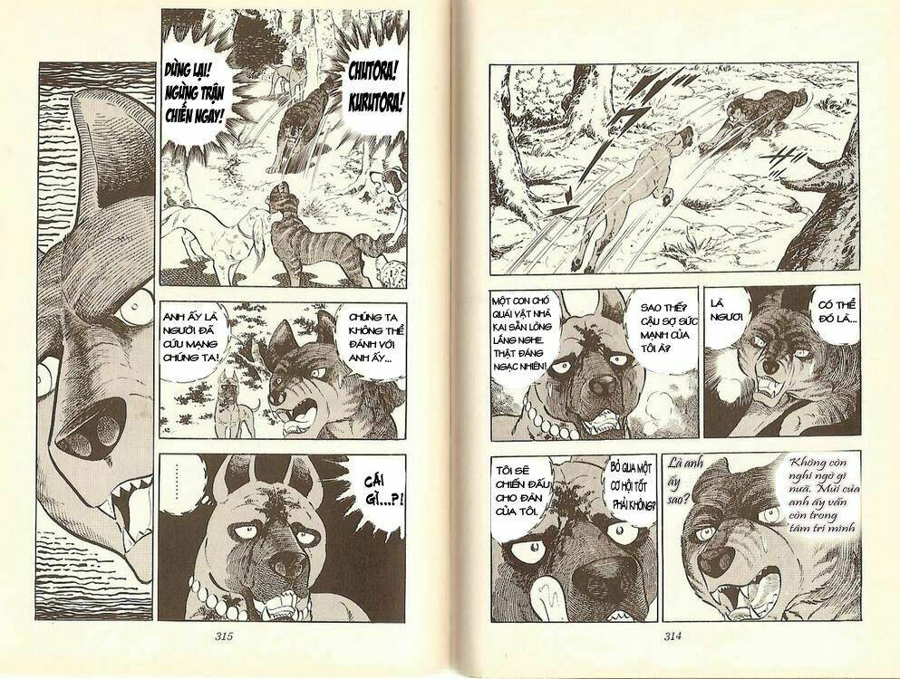 Chú Chó Có Nghĩa - Ginga Nagareboshi Gin: Chapter 12