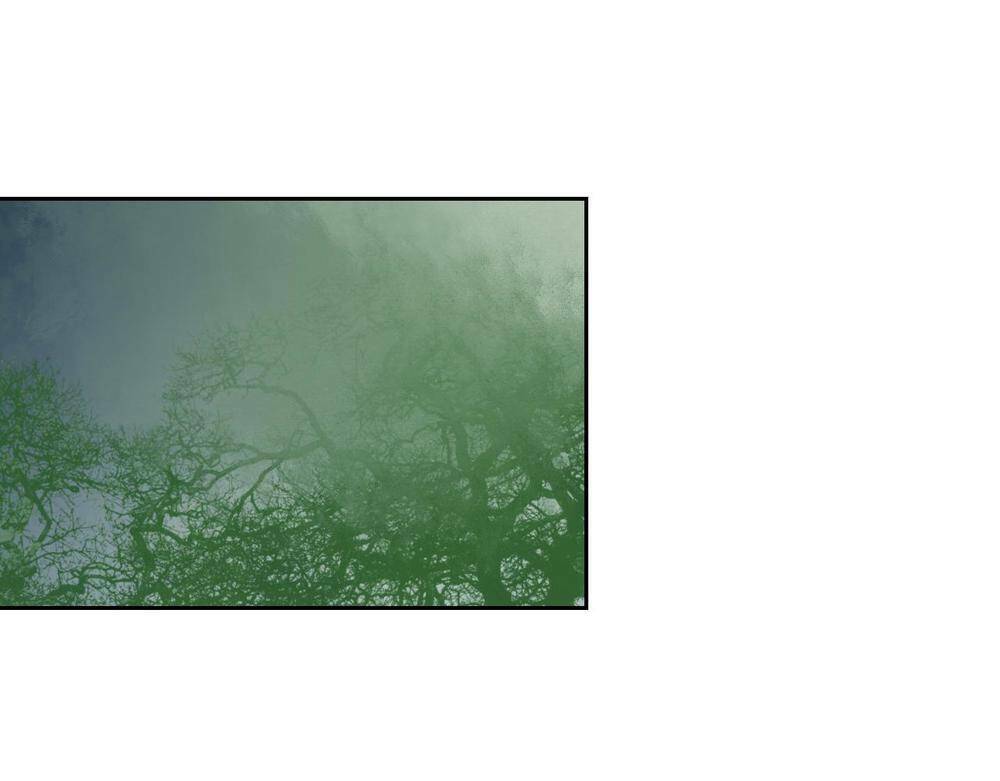 Đốt Đào Hoa: Chapter 9