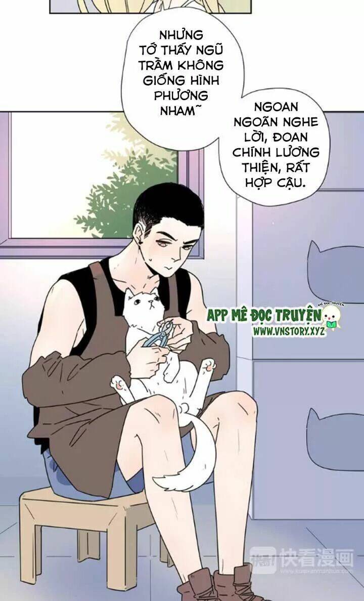 Cạm Bẫy Ngọt Ngào: Chapter 49