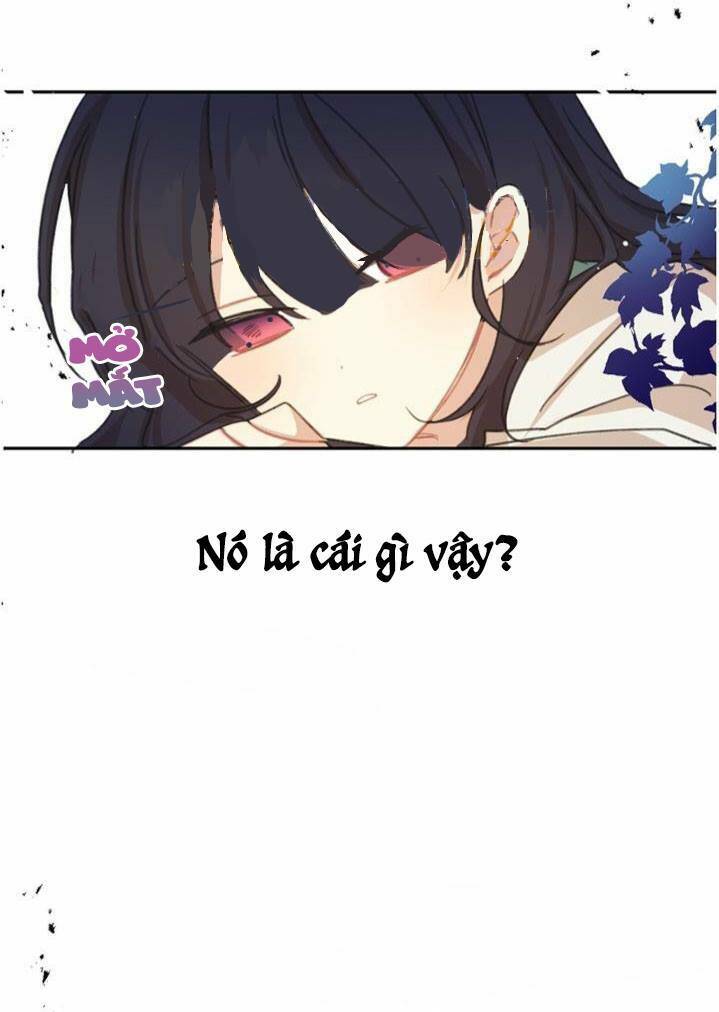Bản Tình Ca Màu Huyết Họa Với Rowan: Chapter 3