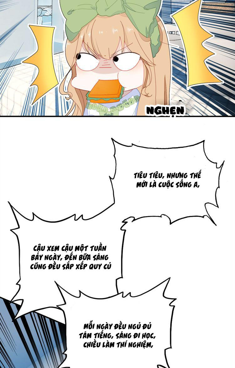 Ái Ngạo Kiều Long Vương Gia: Chapter 5