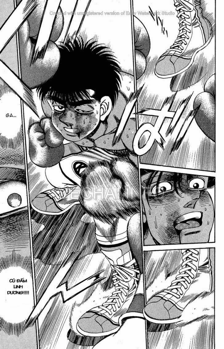 Võ Sĩ Quyền Anh Ippo: Chapter 168
