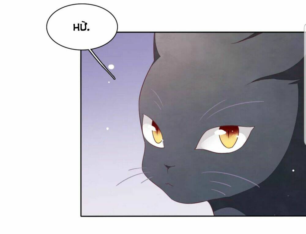 Xuyên Về Cổ Đại Làm Quốc Bảo: Chapter 30