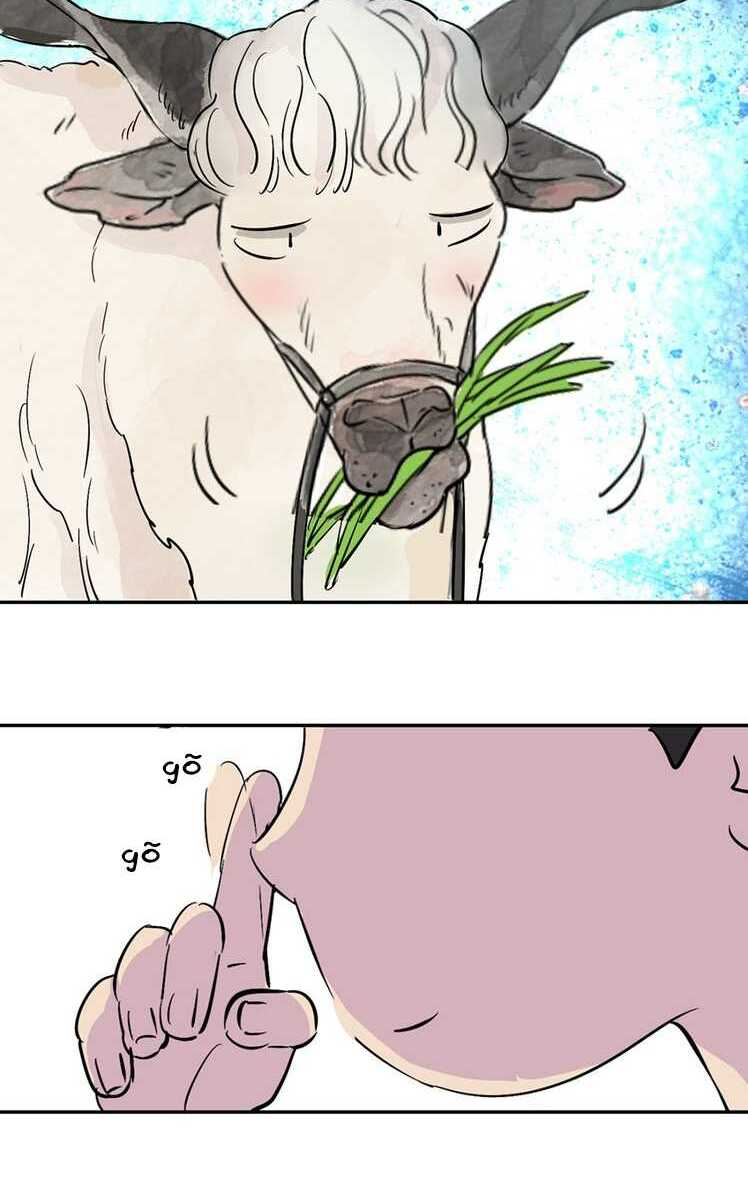 Thiếu Niên Đăng Ba: Chapter 2