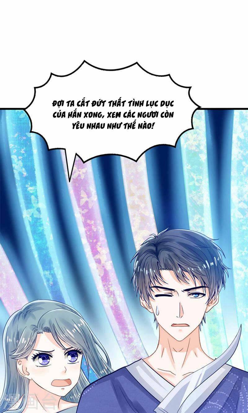 Tôi Bị Gấu Trúc Nhìn Trúng Rồi: Chapter 27