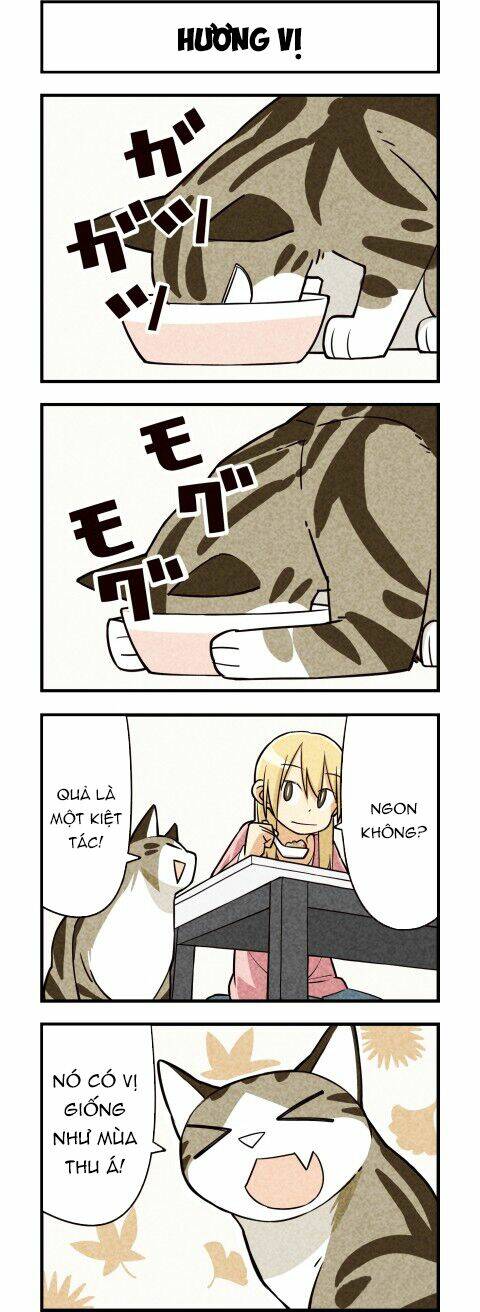 We Are Cat: Chapter 12