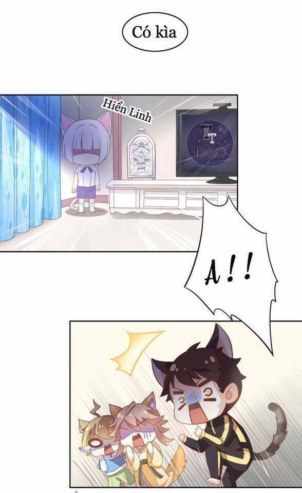Dưới Móng Vuốt Mèo: Chapter 4