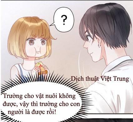lượm được một tiểu hồ ly: Chapter 6