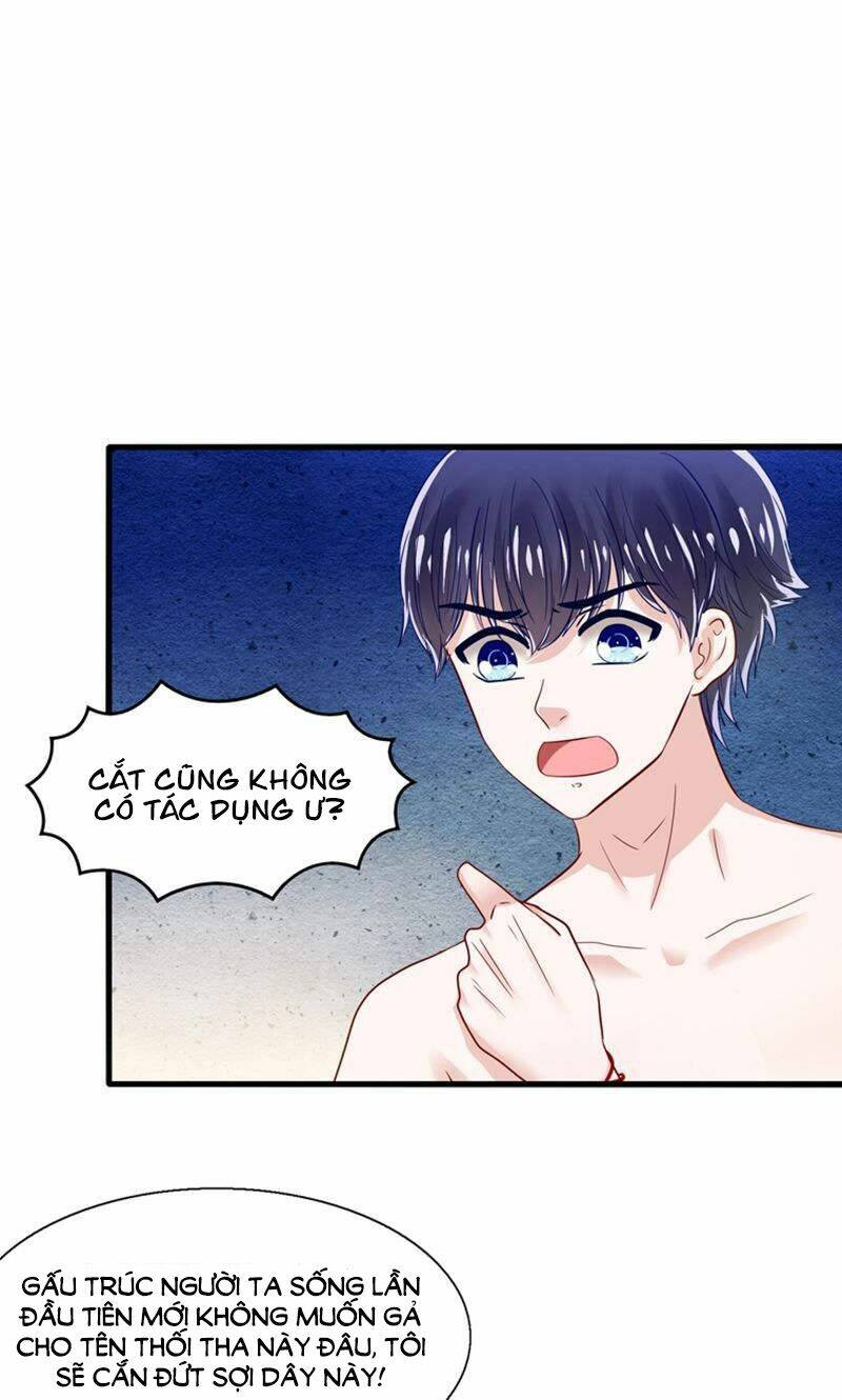 Tôi Bị Gấu Trúc Nhìn Trúng Rồi: Chapter 19