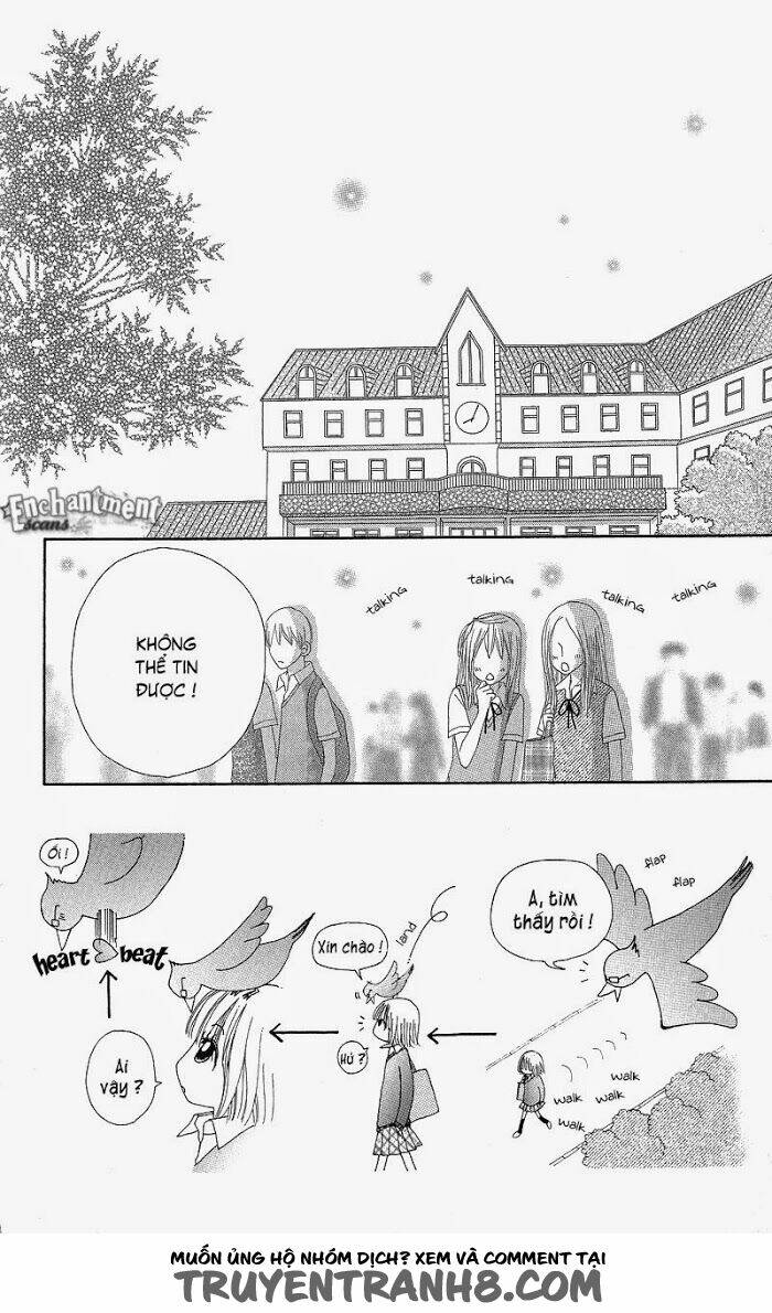 Dự Án Kéo Vàng: Chapter 46