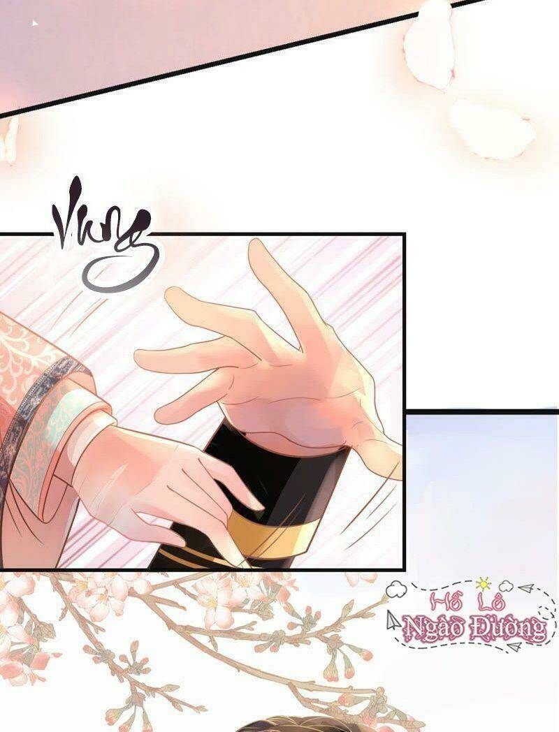 Quận Chúa Vững Vàng, Thiết Lập Nhân Vật Không Thể Vỡ: Chapter 1