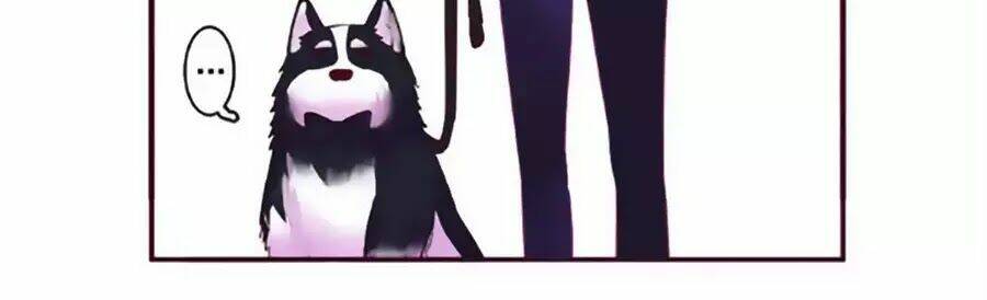 Đừng Nghịch, Ta Chỉ Muốn Yên Tĩnh: Chapter 65