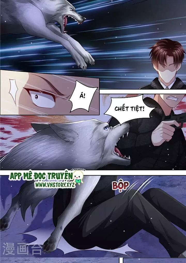 Cưng Chiều Vợ Yêu: Chapter 307: Đánh lén