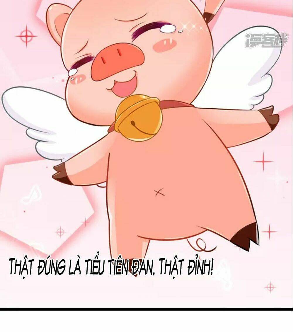 Đệ Tử Của Ta Là Heo: Chapter 4