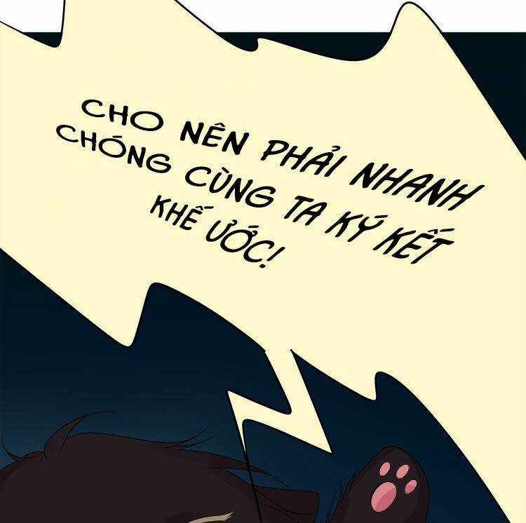Viện Bảo Tàng Tâm Nguyện: Chapter 3.1