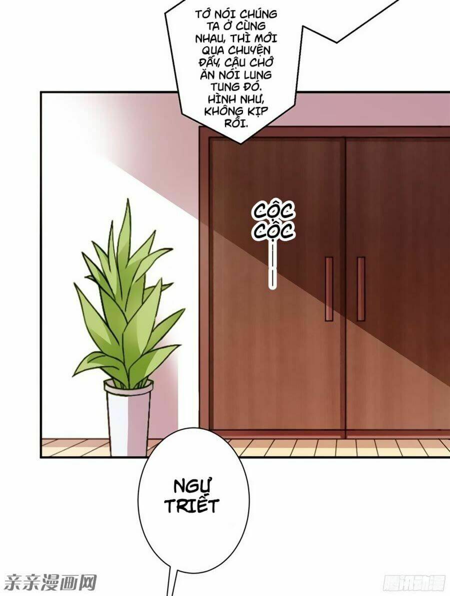 Vợ Yêu Là Báu Vật: Chapter 45