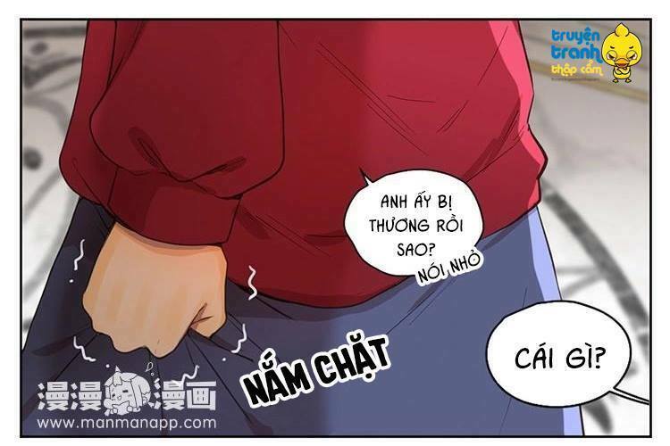 Cứu mạng ! Loài mèo thống trị thế giới rồi !: Chapter 30